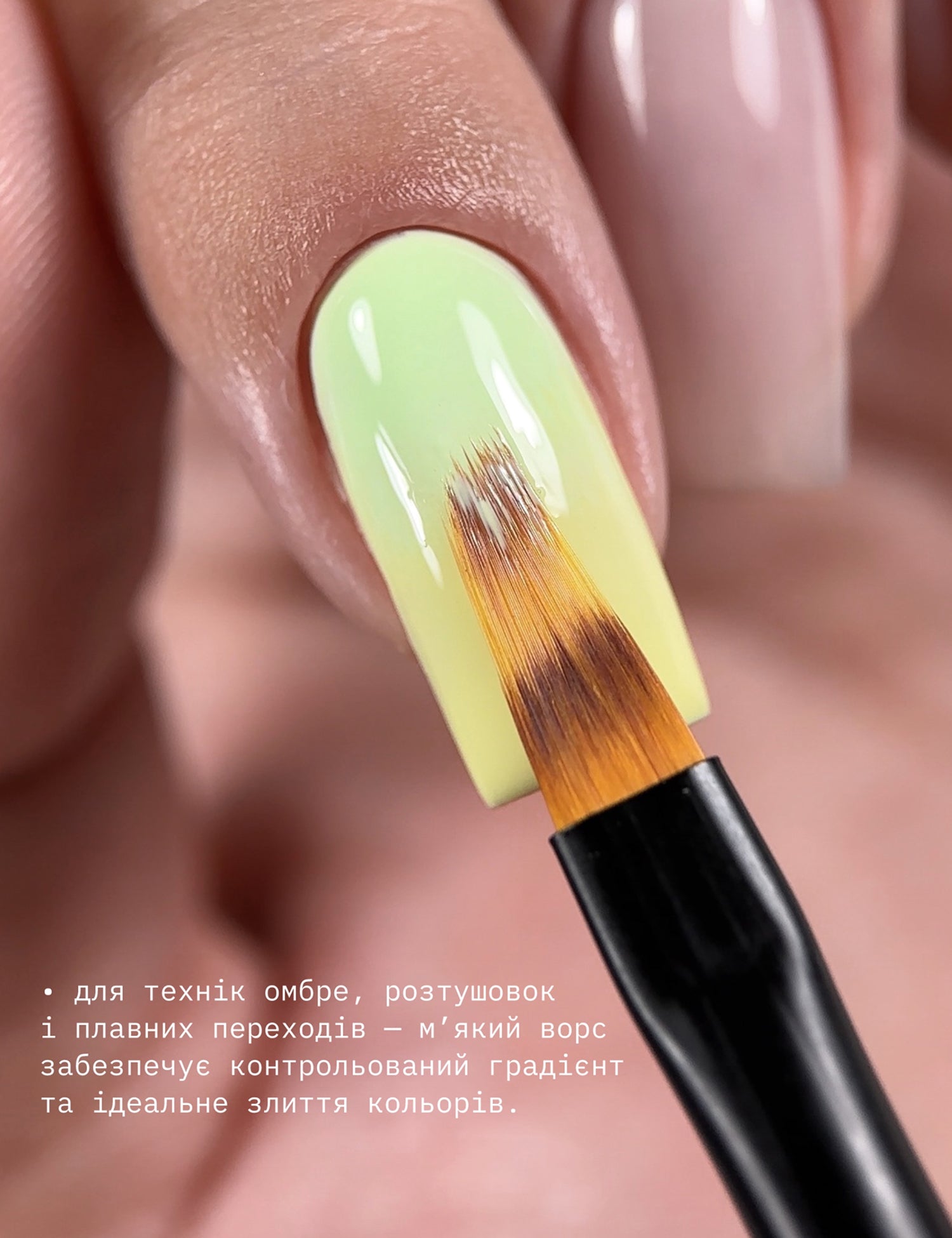 BIBLIOTEKA Brush #ombre, 12 mm